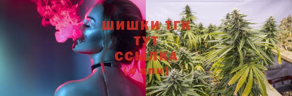 СК Вязьма