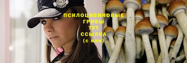синтетический гашиш Баксан