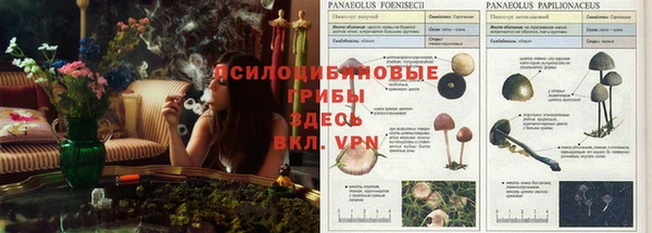 spice Балахна