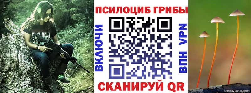 Галлюциногенные грибы MAGIC MUSHROOMS  Ясногорск 